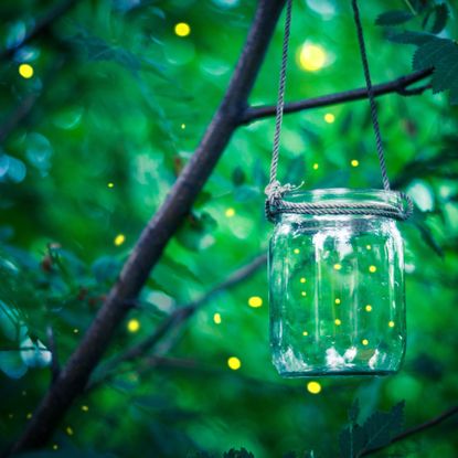 Firefly in a jar