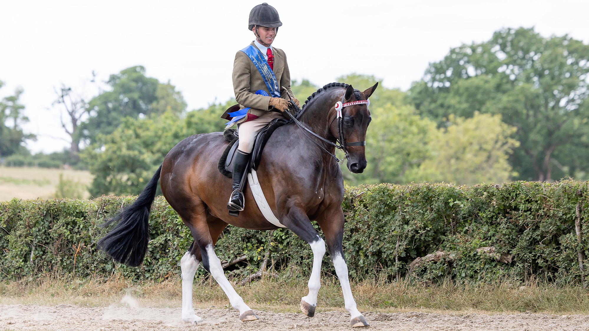 Harrison Taylor riding Lostock Up Till Dark at Royal International Horse Show