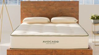 The Avocado Green Mattress in a sunny bedroom