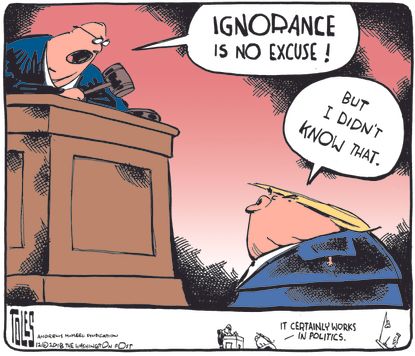 U.S. Trump ignorance save him politics didn’t know