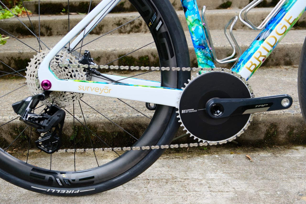 Bride Bike Works Surveyor