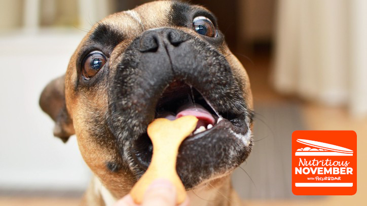 best dog chews for sensitive stomachs