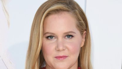 amy schumer and her husband