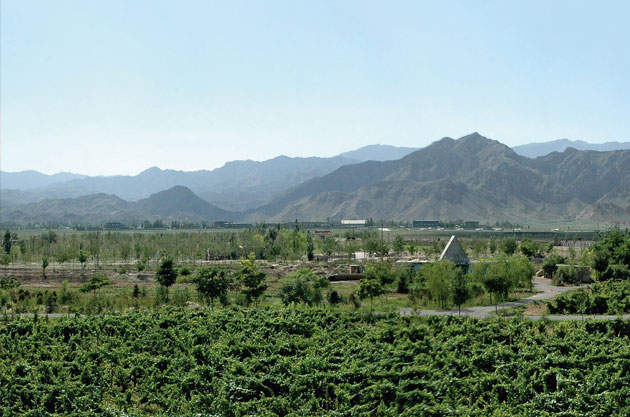 Ningxia from Decanter Magazines