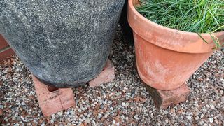 Container plant pots raised on bricks