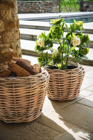 container gardening mistakes: rattan planter