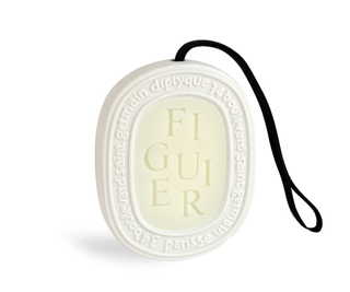 Figuier (fig Tree ) - Wax Oval