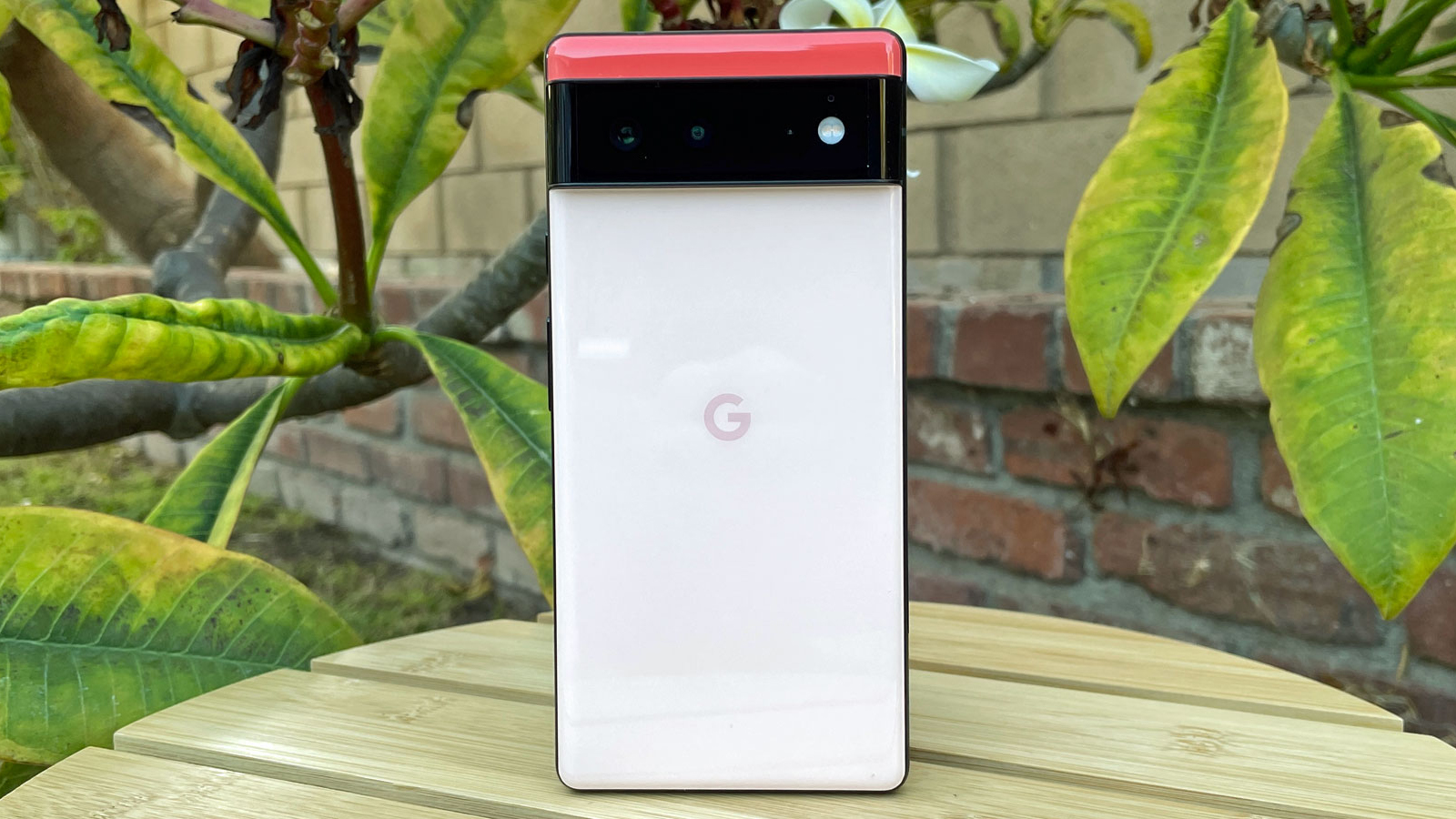 Google Pixel 6 membelakangi kamera, berdiri di atas meja.