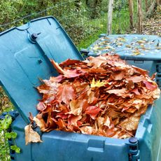 Fall leaves in a compost bin