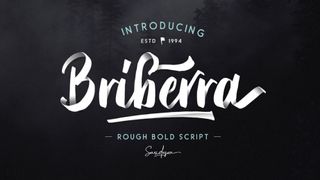 Free script fonts: sample of Bribera