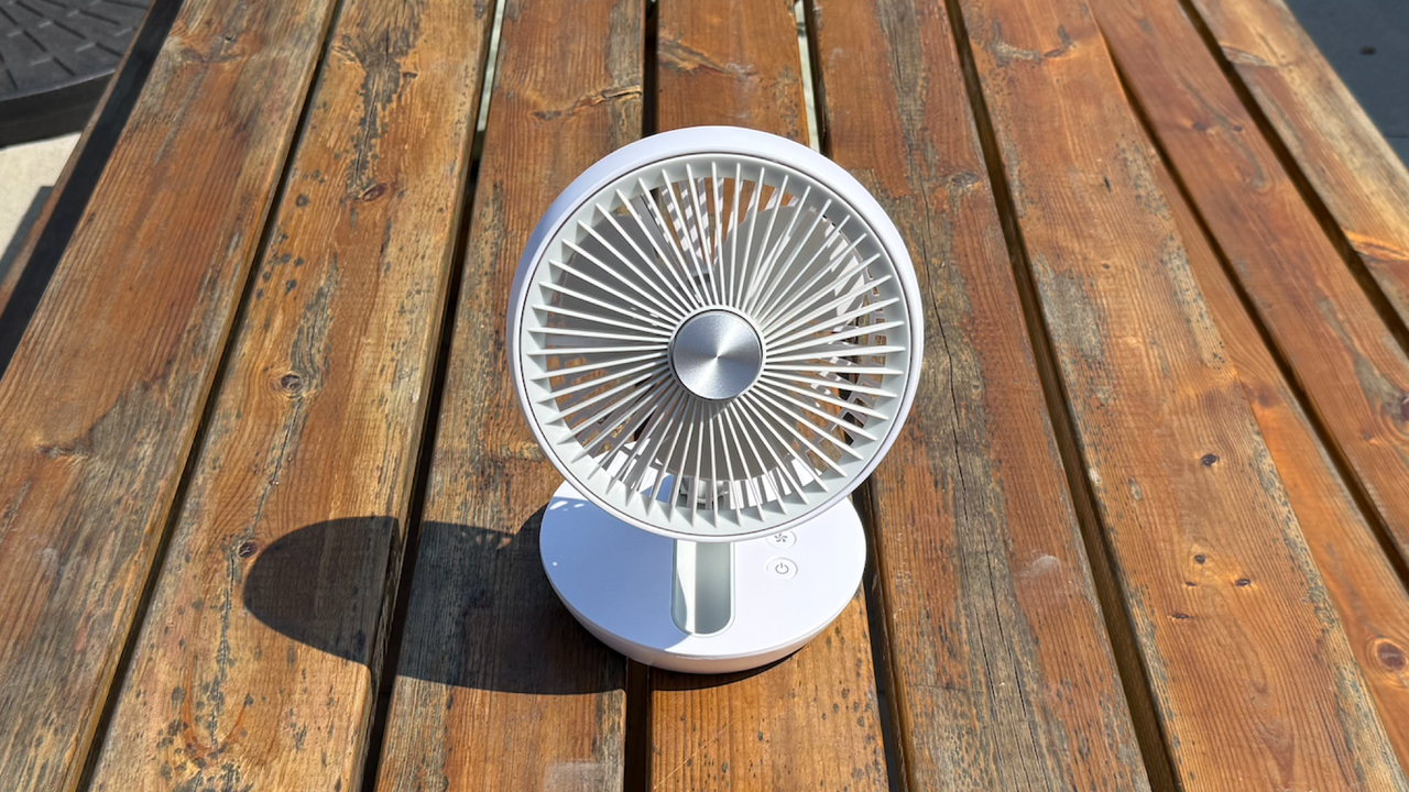 The Dimplex Rechargeable Cordless Desk Fan is a good go-anywhere fan, but you might want to play some music to drown out its drone