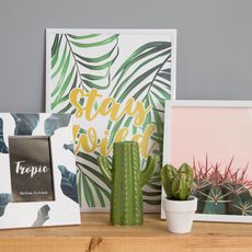 room with grey wall and cactus in white pot