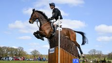 HorseNo52_Belton_PN19_6850.jpg