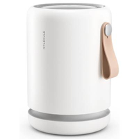 Molekule Air Mini+ Air Purifier: was $359.99, now $214.99 at Amazon