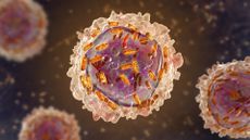 white, pink and orange illustrations of leukemia in white blood cell