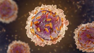 white, pink and orange illustrations of leukemia in white blood cell