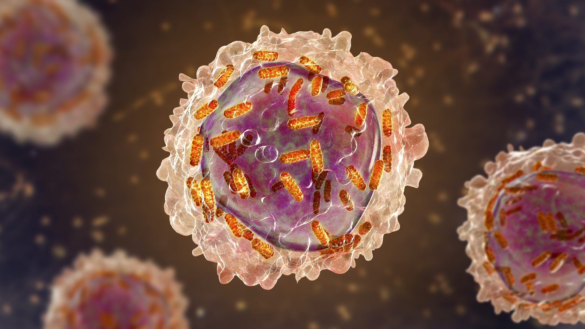 white, pink and orange illustrations of leukemia in white blood cell