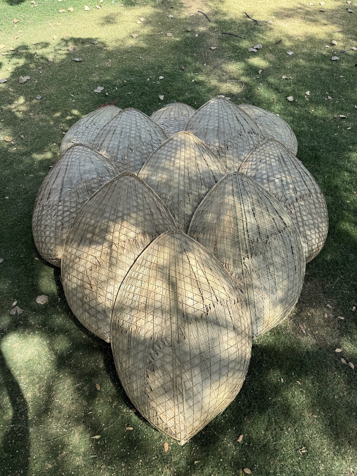 The Pangolin Shield