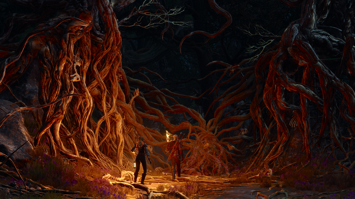 The Witcher 3 Songs of the Past