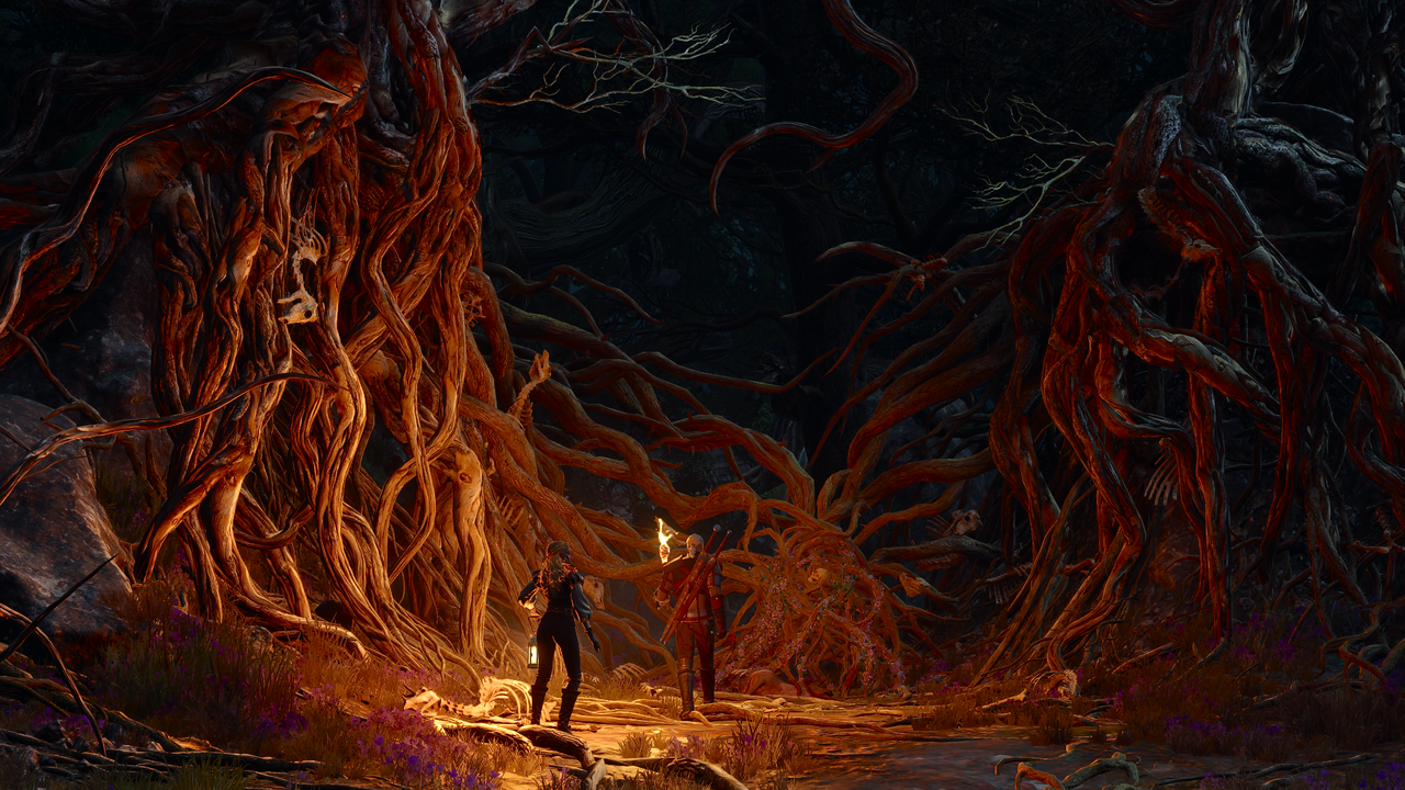 The Witcher 3 Songs of the Past