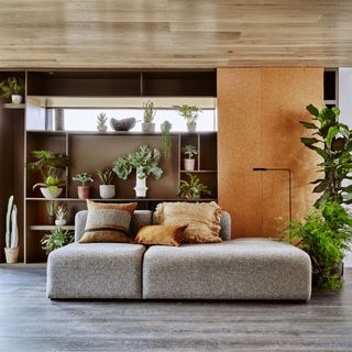 living area with corner sofa and shelving plants and wooden floor and