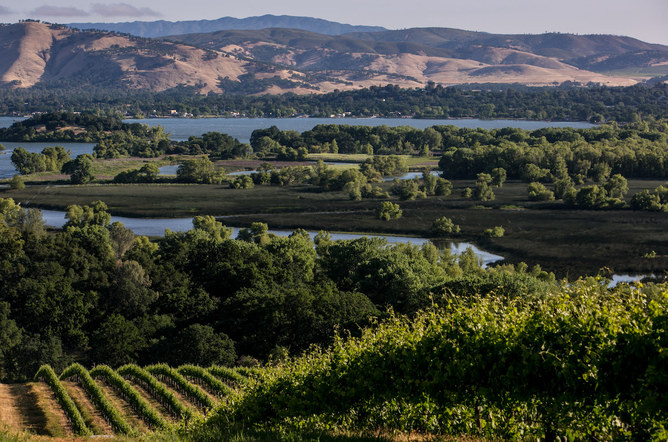 image of hills and vineyards in Lake County