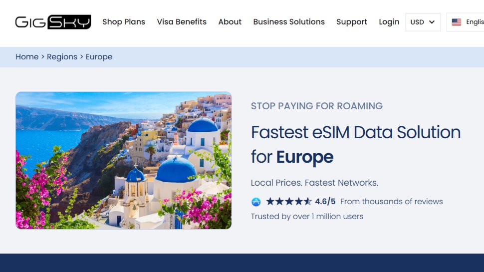 GigSky website screenshot (October 2025).
