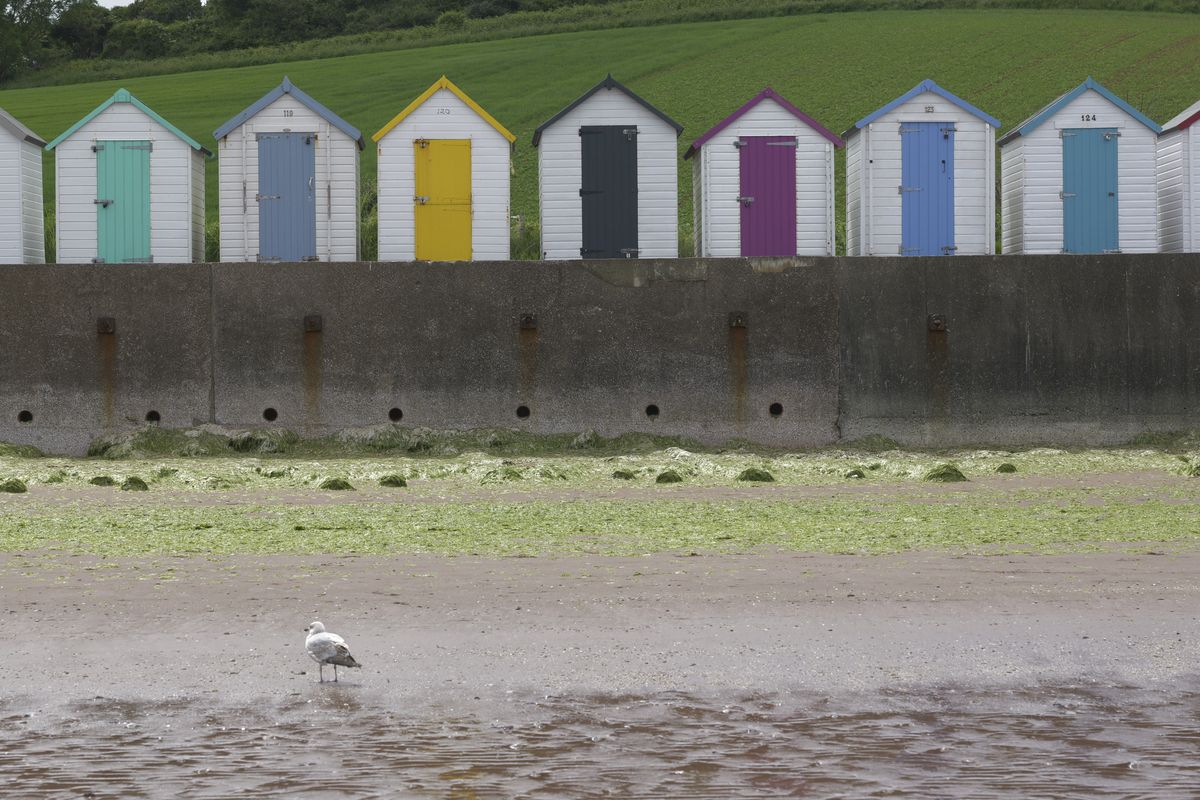 Panasonic Lumix S1 II sample gallery: colorful beach huts