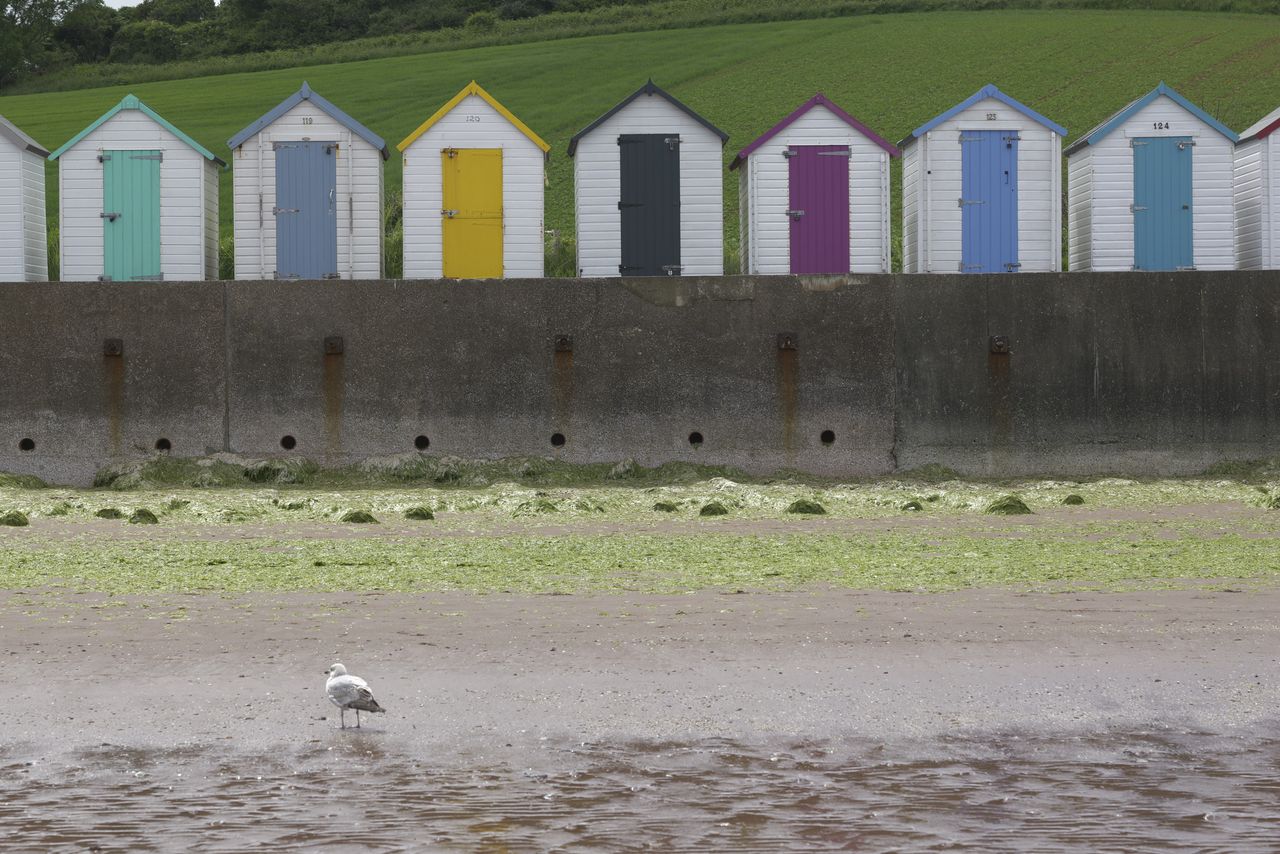 Panasonic Lumix S1 II sample gallery: colorful beach huts