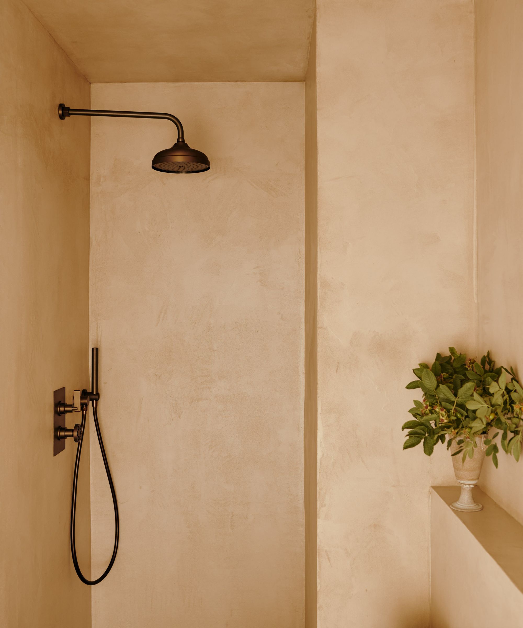 Close up of walk-in shower with neutral limewash paint on walls, vase of flowers on low shelf