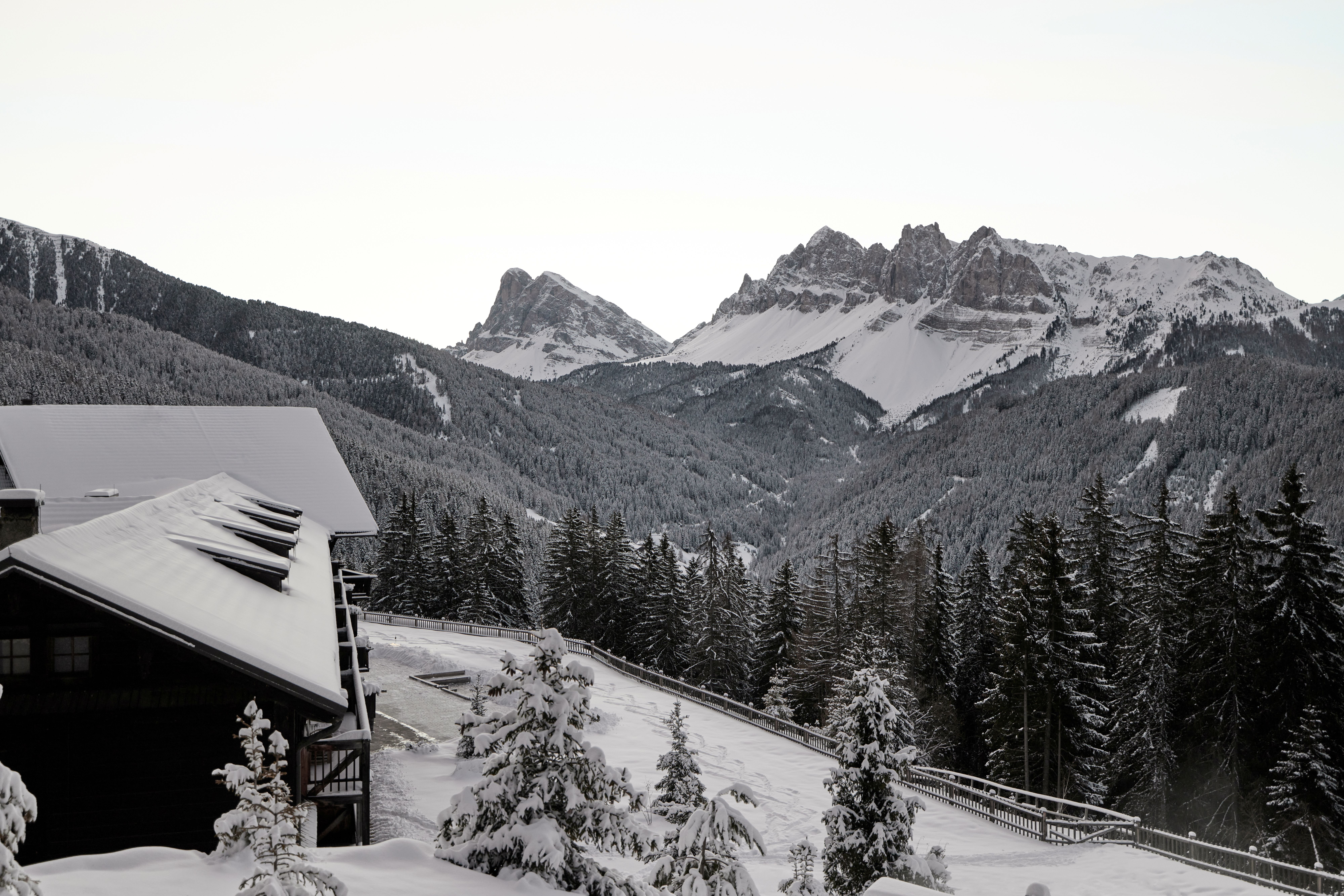 forestis dolomites review