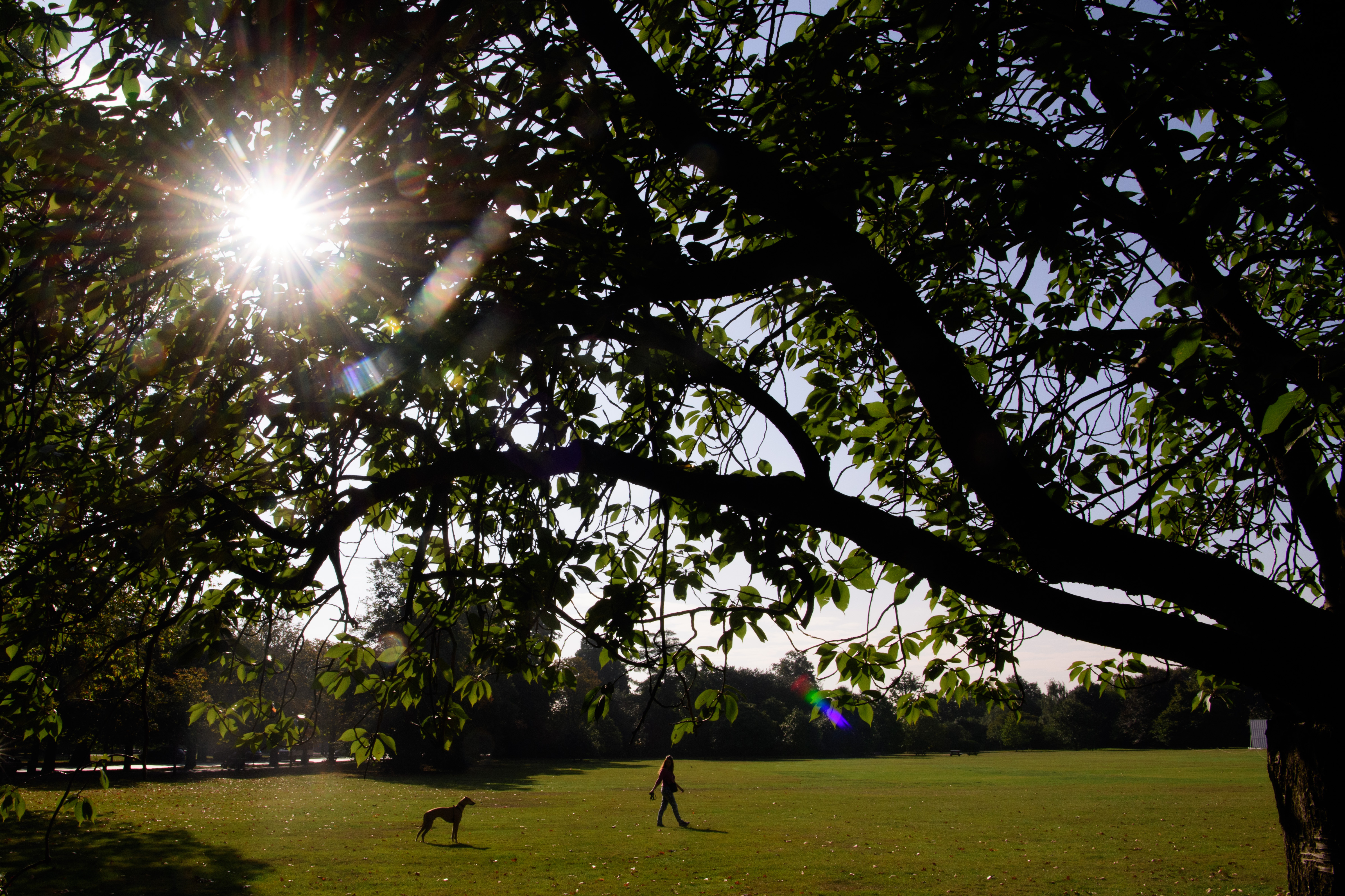 A woman walks her dog in London&#039;s Greenwich Park on Sept. 21, 2016 in London, England. Today marks final day of summer as the autumn equinox arrives on Thursday.