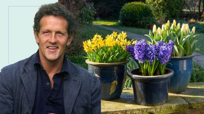 picture of three spring flowers in large ceramic pots in garden with cut out of Monty Don laying over top 