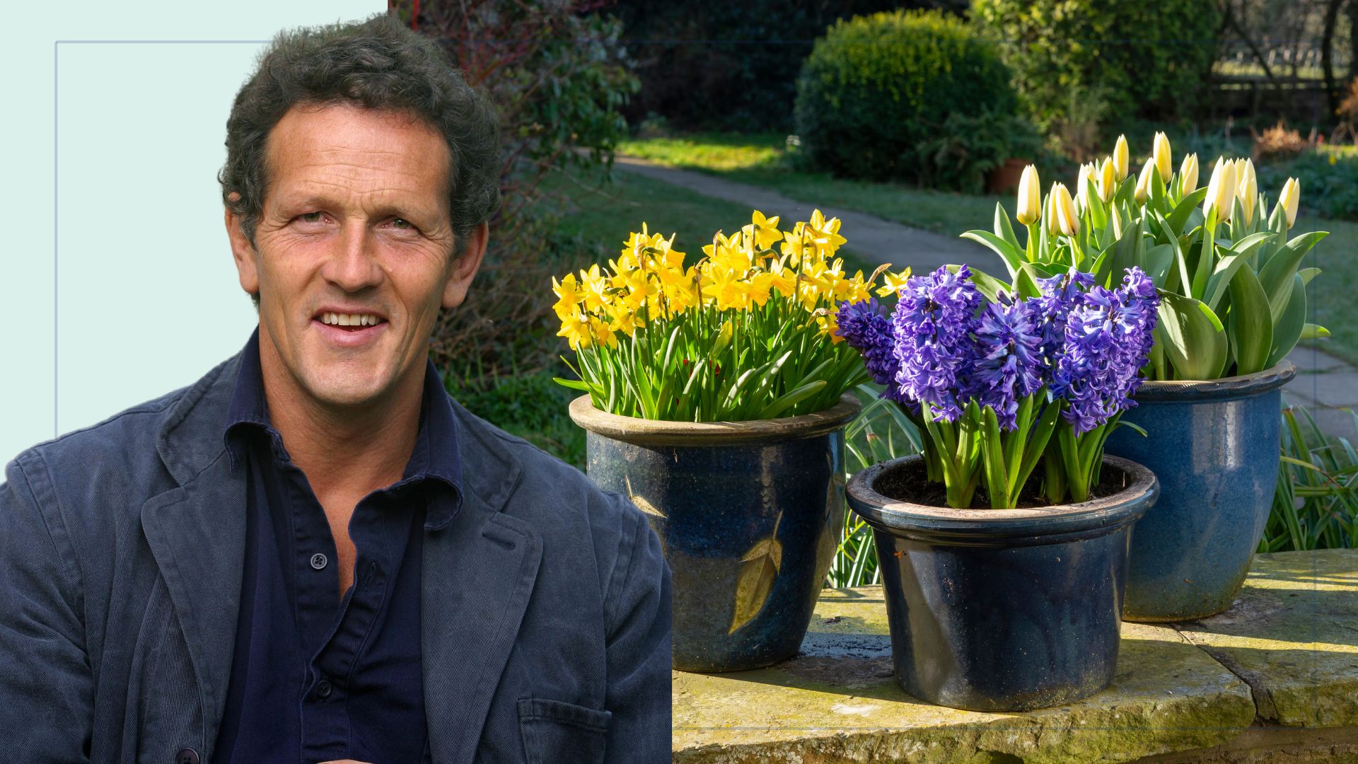 picture of three spring flowers in large ceramic pots in garden  with cut out of Monty Don laying over top 