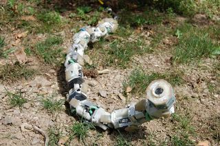 CMU's Snakebot Goes for a Swim - News - Carnegie Mellon University