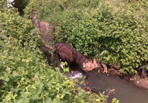 ditch1.jpg