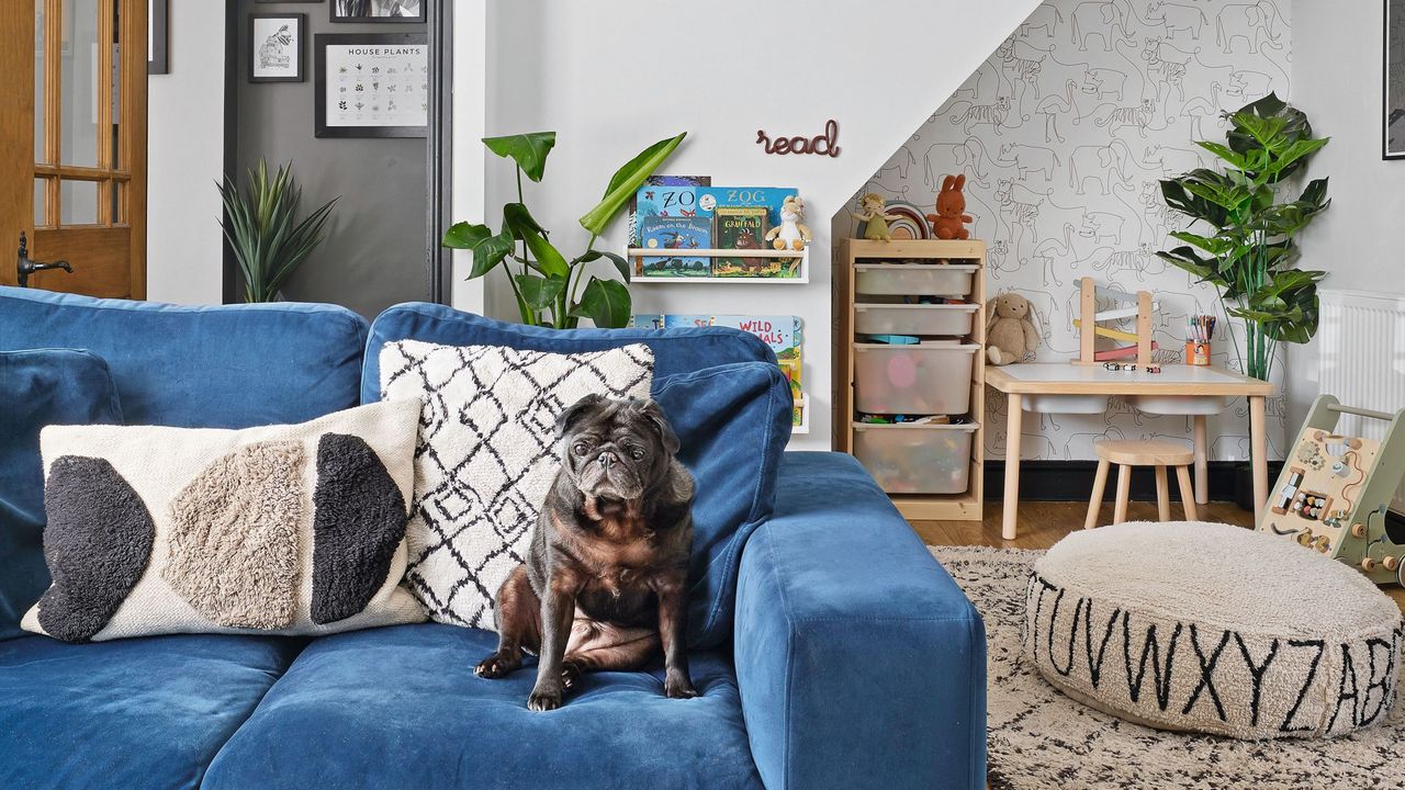 Living area with blue sofa and neutral cushions and berber rug