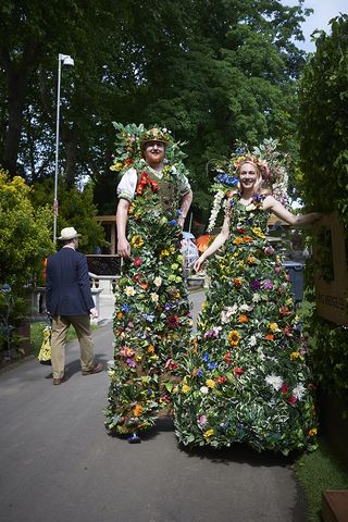 Chelsea Flower Show pictures