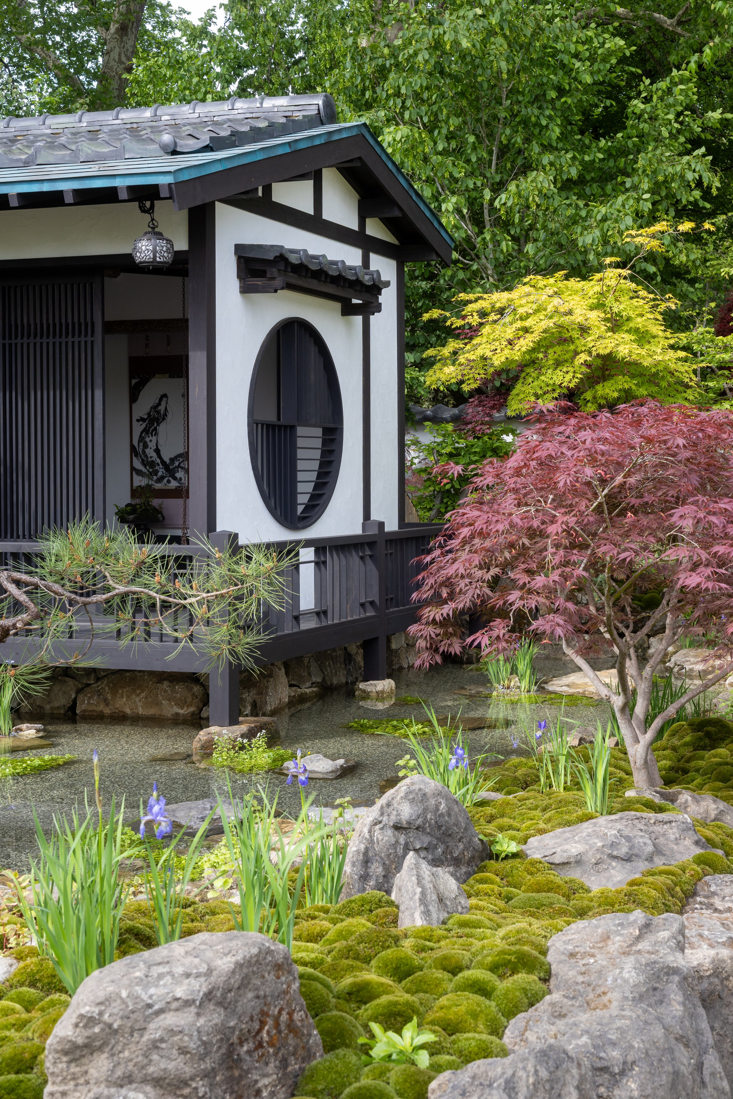 Details of the Tokonoma Garden &amp;ndash; Sanumaya no Niwa, a nostalgic garden scene in a japanese style. IE lots of moss and bonsai and stones