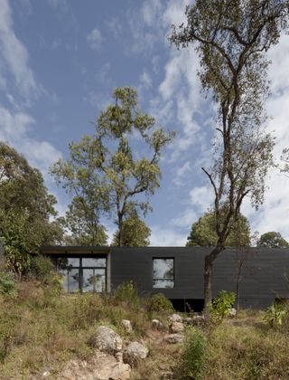 Mexico forest house by Cadaval Sola-Morales