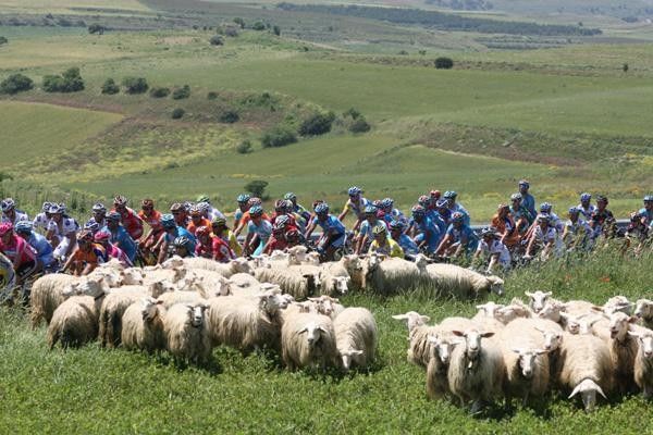 The riders attrack huge crowds.