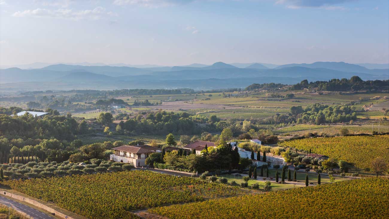 Aerial view of Les Domaines Paul Mas