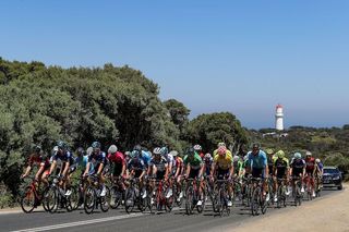 The riders head off from the start of stage 4 of the 2019 Herald Sun Tour at Cape Schanck on the Mornington Peninsula