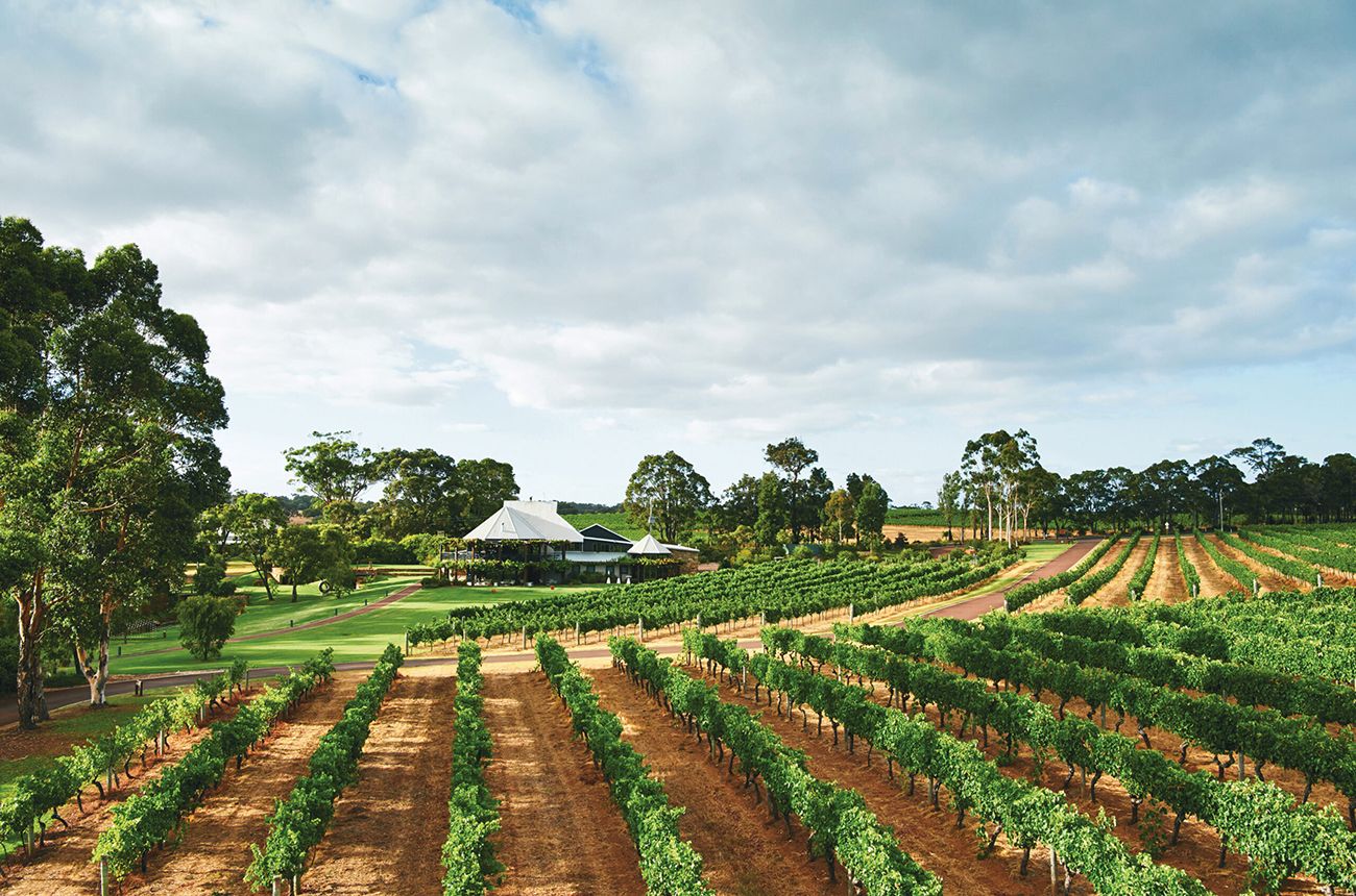 Margaret River Chardonnay and Cabernet Sauvignon