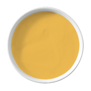 saffron yellow wall paint