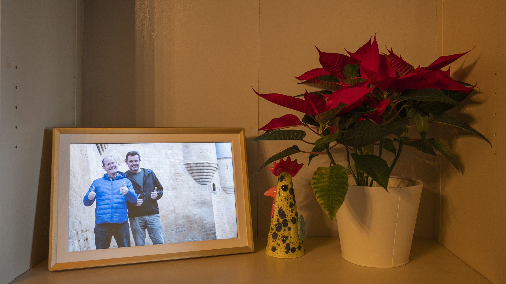 Arzopa D14 photo frame on a shelf next to a plant 