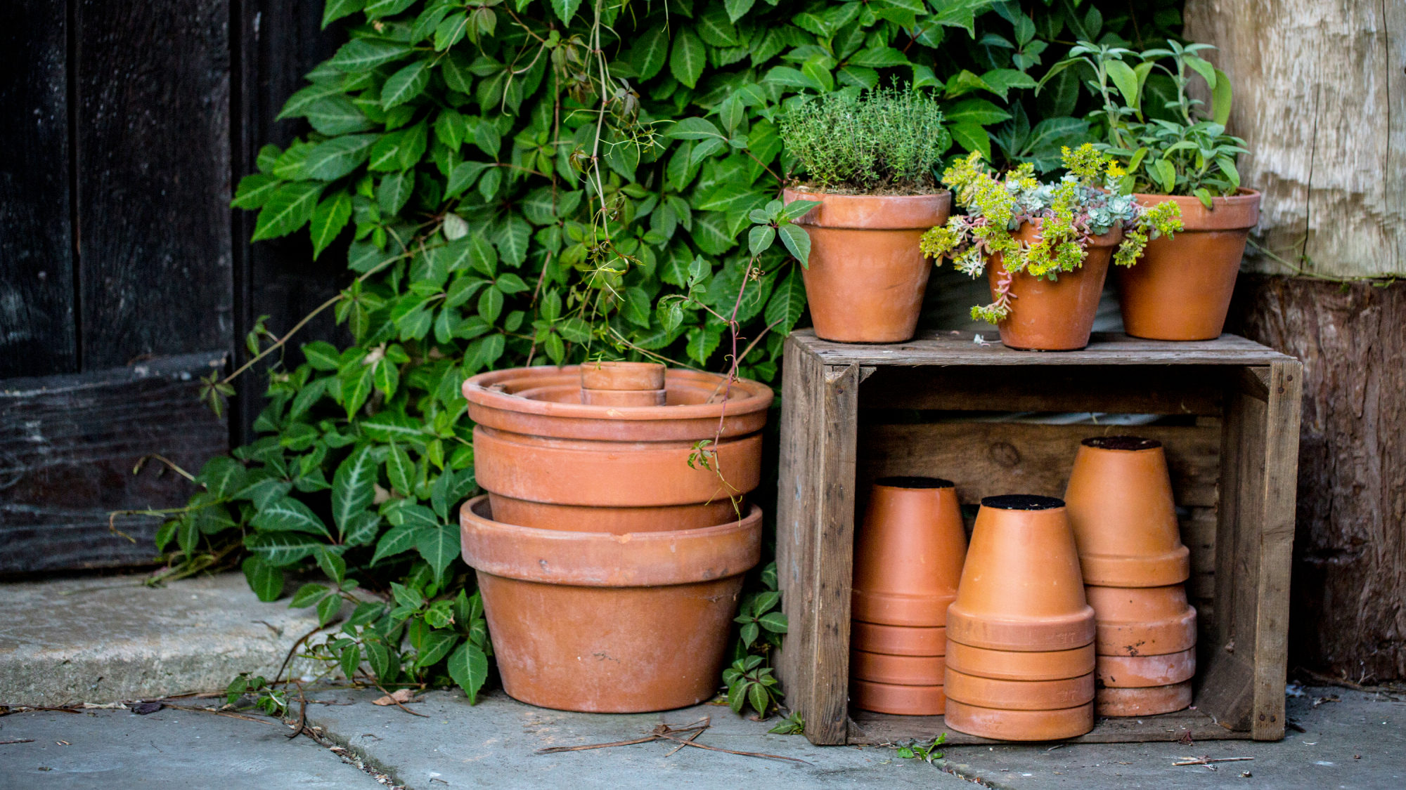 terracotta pots on patio 