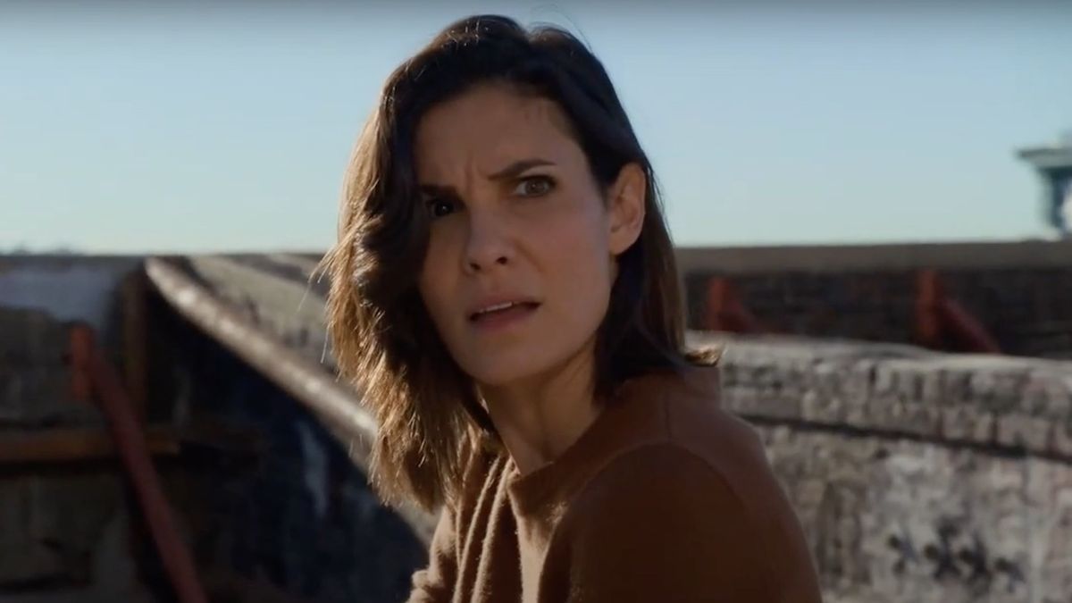 ‘You Kind Of Got Lucky’: NCIS: Los Angeles’ Daniela Ruah Bombed Her ...