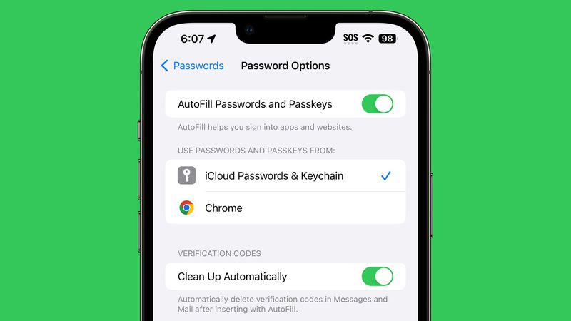Screenshot showing the new auto-clean feature in the iOS 17 beta password options menu
