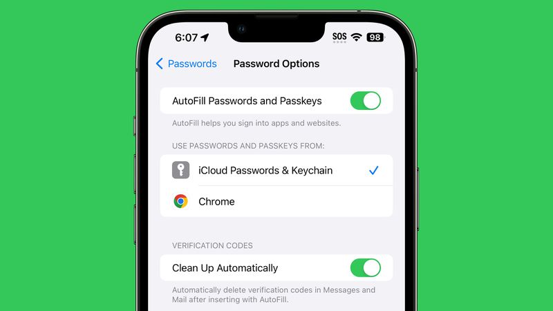 A screenshot showing the new Clean Up Automatically feature in the iOS 17 beta's Password options menu